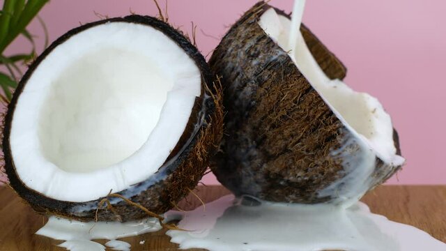 Coconut nut. Juicy ripe split coconut into which coconut milk is poured, on a pink background with a green palm tree.