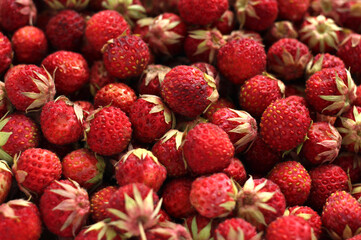 fresh healthy strawberry with tails, top view