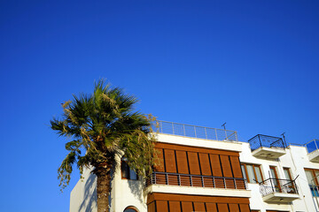 Exotische Palme vor einem modernen mehrstöckigen Wohnhaus mit Balkon im Sommer vor blauem Himmel...