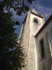 Fototapeta premium igreja arvores