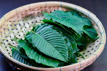 closeup pile of Mitragyna speciosa or Kratom leaves on bamboo basket © Anucha