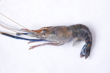 close up of king prawn on white background 