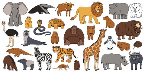 Cute vector isolated animals big set. Elephant, orangutan, monkey, lion, tiger, giraffe, hippo, rhinoceros, tapir, zebra, bear, wombat, snake, penguin, ostrich, wild boar, seal, armadillo, anteater © essskina