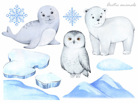 Set of watercolor illustrations isolated on white background. Cartoon arctic and polar animals. Polar white owl, seal, polar bear, winter landscape, snowflake.