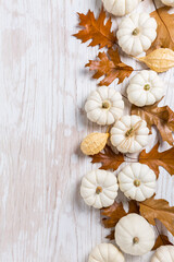 Obraz na płótnie Canvas Happy thanksgiving - background with white pumpkins and autumn leaves on white