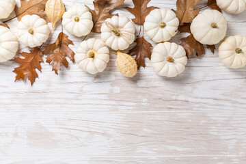 Happy thanksgiving - background with white pumpkins and autumn leaves on white
