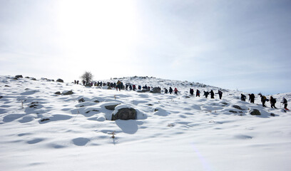 Group of mountaineers walking trough the mountains covered with snow...