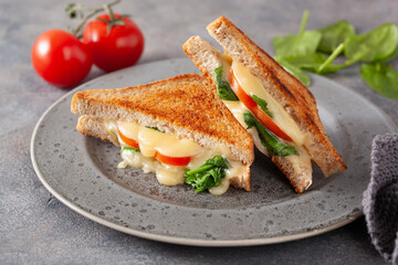 grilled cheese spinach and tomato sandwich on concrete background
