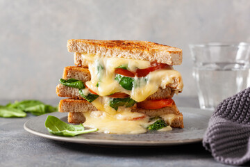 grilled cheese spinach and tomato sandwich on concrete background