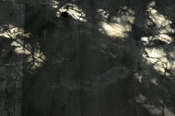 The shadow trees reflected on the grey concrete wall in Sapporo Japan