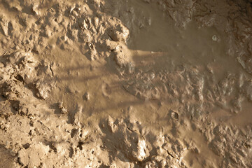 Ground mud as background, view from above