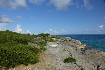 Fototapeta na wymiar Rock formation on tropical Caribbean coast, Bemuda 