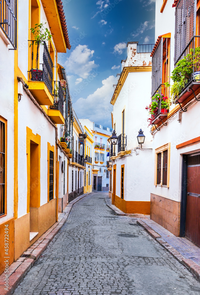 Wall mural Cordoba, Andalusia, Spain - Medieval downtown street