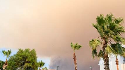Campfire smoke in the sunset light against the backdrop of palm trees with huge clouds of orange...