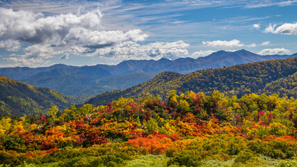 大雪高原沼　トレッキングルートから見る紅葉