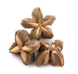 Nuts Incas , sacha inchi peanut seed an isolated on white background