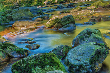 mountain river in the forest