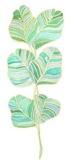 Fototapeta premium Watercolor illustration, decorative twig with leaves, green stripes on a white background
