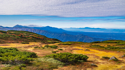 旭岳　散策路から見る紅葉と十勝連峰