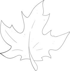 silhouette of a leaf