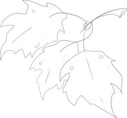 branch with leaves vector