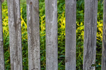 Fototapeta premium Wooden gray fence with vertical boards and greenery behind it in the background. Background and texture of a homemade fence. High quality photo
