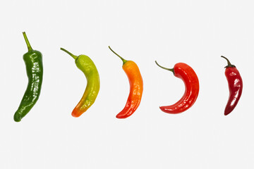 Multicolored hot chili peppers on a white isolated background