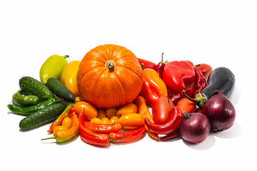 A set of fresh vegetables, arranged in color from green to lilac on a white background