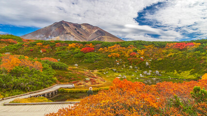 旭岳　姿見の駅からの紅葉