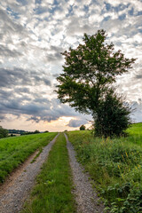 Fototapeta na wymiar Country landscape in sunshine in Germany