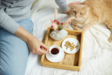 Woman sitting on the bed, and drink coffee, cat feeding