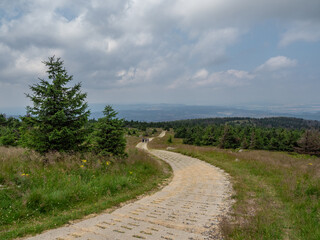 Fototapeta na wymiar stone road to mountain Brocken in Harz, Germany