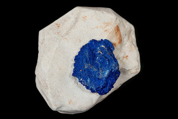 Macro mineral stone Azurite in siltstone against black background