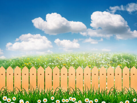 a Green field landscape from backyard with daisy flowers and wooden picket fence