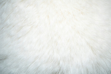 Blank clean white natural fur background