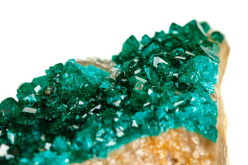Macro mineral stone Dioptase silicate copper on a white background