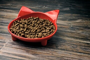 Cat shaped bowl filled with dry pet food.