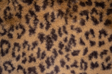 Leopard animal print, fur texture or background