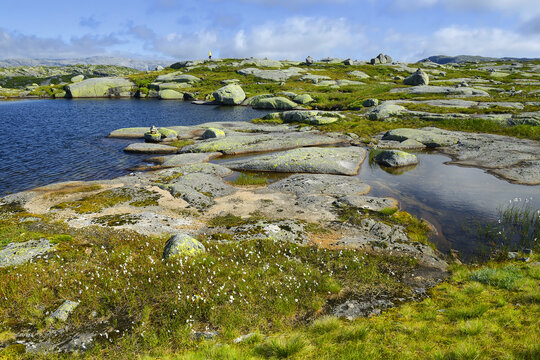 View of the rocky landscape not far from Lysebotn and Suleskard in Rogaland, Tjodanpollen, Norway as a background
