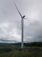 wind turbines farm