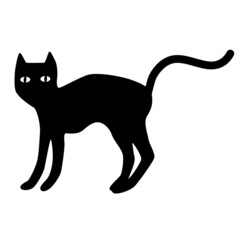 Black cat silhouette with eyes isolated on white background