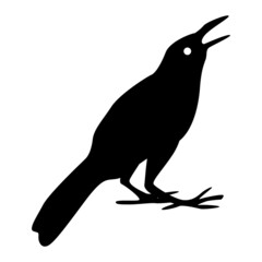 silhouette of crow