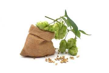 Hops and barley spilling from a hessian bag