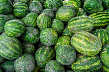 Watermelon background. Summer Fruit Market