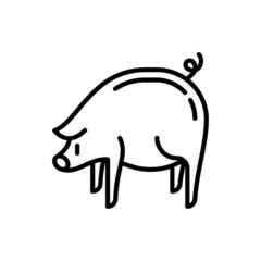 Cartoon pig thin line icon. Modern vector illustration for Chinese horoscope.