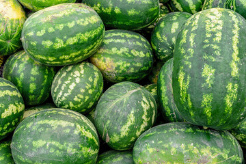 Watermelon background. Summer Fruit Market