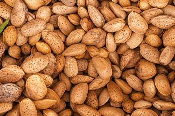 Background of unpeeled almonds in a shell
