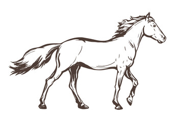 Naklejka na ściany i meble Race horse hand drawn sketch vector illustration