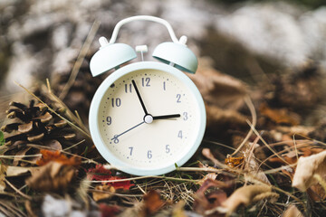 fall back time change alarm clock