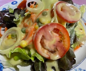 Fresh vegetable salad, separate close-up